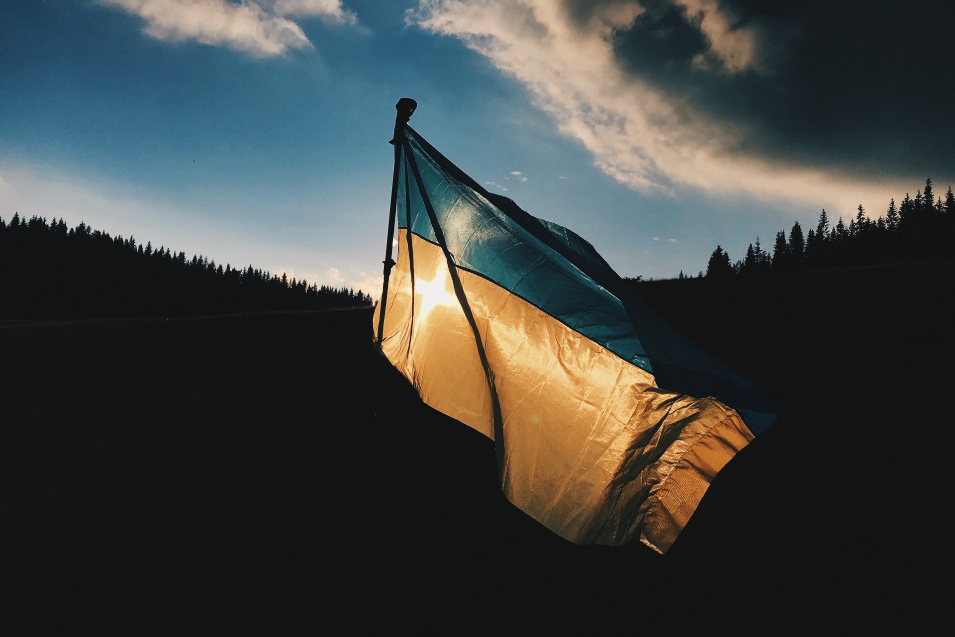 Oekraiense vlag