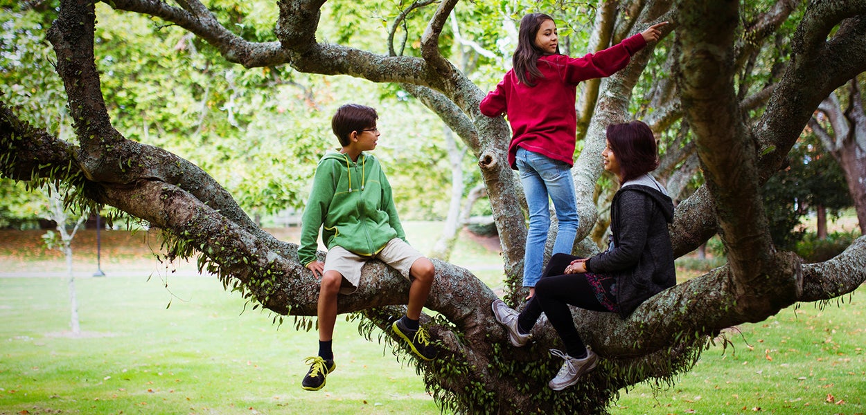 Een jongen en een mesije en een moeder zitten op de takken van een boom