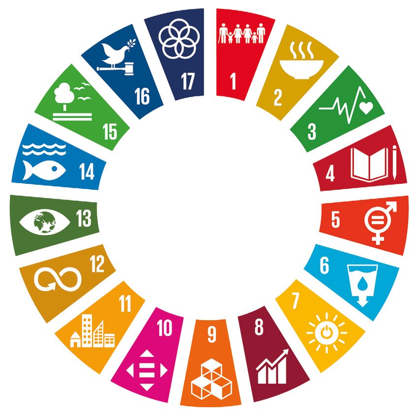 Logo SDG Circle