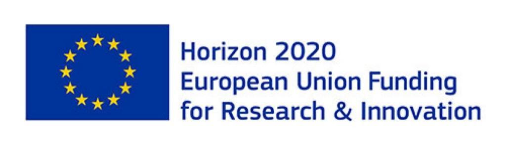 Logo Horizon 2020 European Union Funding for Research & Innovation