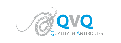 Logo QVQ Quality in Antibodies