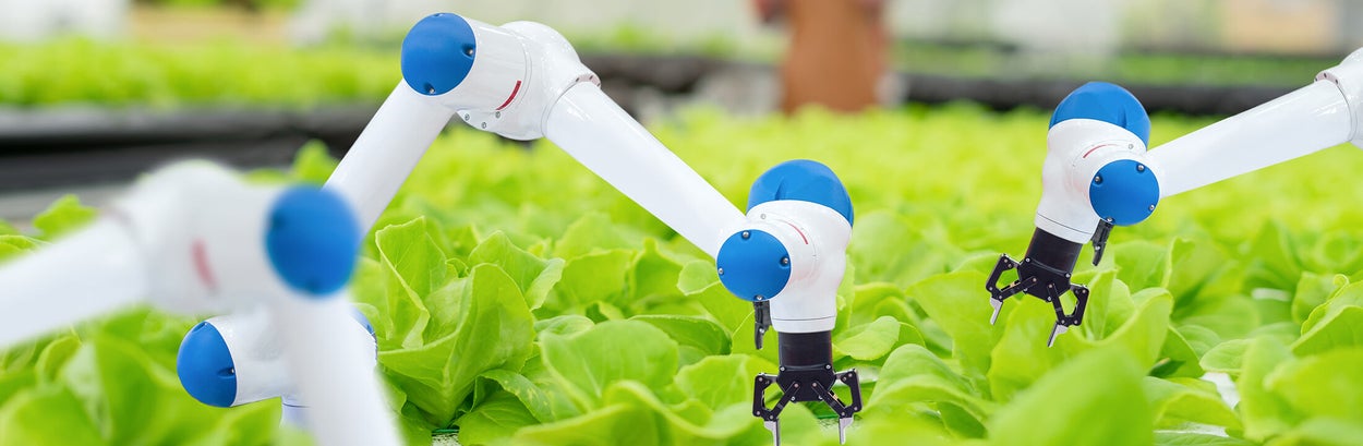 Robots aan het werk in landbouw