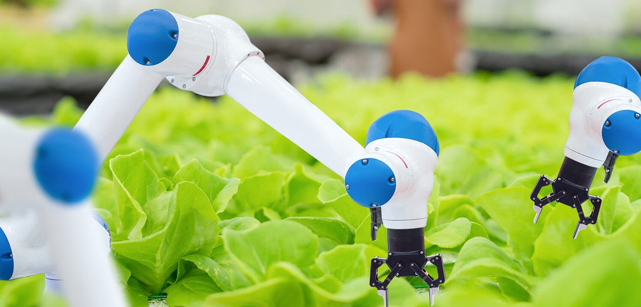 Robots working in agriculture