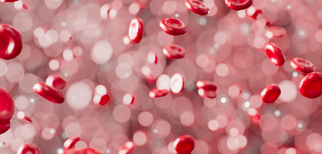 Rode bloedcellen - foto ANIRUDH Unsplash 