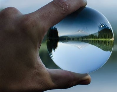 Person looks at nature through a round glass bowl