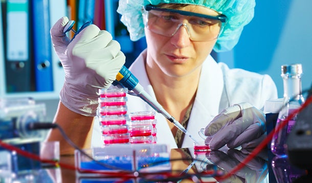 Laboratory technician working in a laboratory with pipette and petri dishes