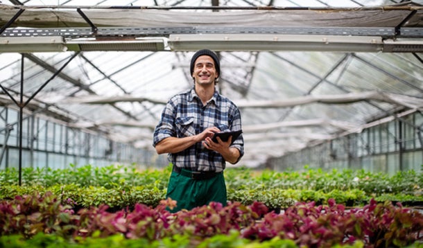 A young man is standing in a greenhouse with a tablet